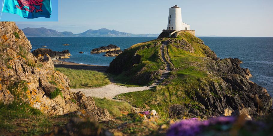 Wales_zero emissions e-buses_Chariot Wales e-bus fleet